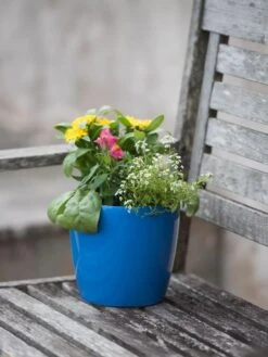 Viva Round Self-Watering Planter, 7" Diameter -Default Template 3 8595222 1143 tif