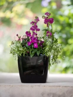 Viva Square Self-Watering Planter, 7" Diameter -Default Template 3 8595223 1107 tif