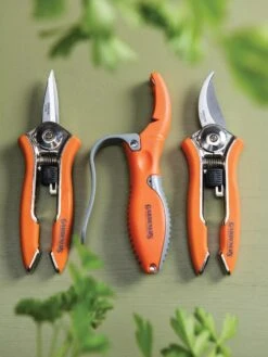 Gardener's Pocket Tool Set -Default Template 3 8595268 9487 tif