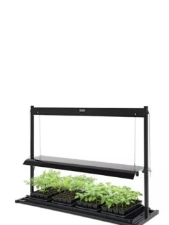 LED SunLite® Tabletop Garden -Default Template 3 8595552 10125 tif