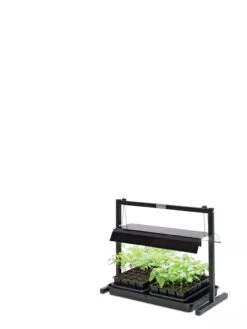 LED SunLite® Compact Tabletop Garden -Default Template 3 8595555 10136 tif