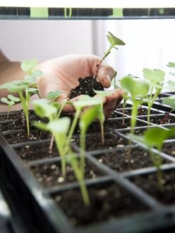 LED Stack-n-Grow Lights - Base Unit 7 LED Stack-n-Grow Lights - Base Unit -Default Template 3 8595770 7373 tif