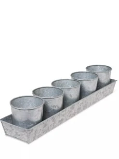 Galvanized Herb Planters With Rectangular Tray -Default Template 3 8595903 3924 tif