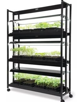 LED SunLite® High Intensity 3-Tier Garden -Default Template 3 8596024 10201 tif