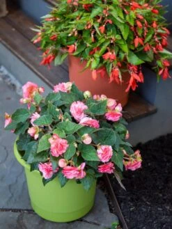 Eezy Gro Self-Watering Planters -Default Template 3 8596427 0034 tif