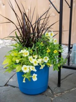 New Arrival -Default Template 3 8596427 0035 tif