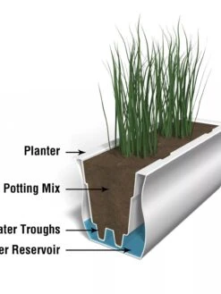 Valencia Window Box, 3' -Default Template 3 8596436 17V tif 1