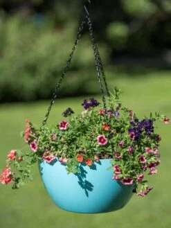 Viva Self-Watering Hanging Basket, 14" Diameter -Default Template 3 8596442 0859 tif