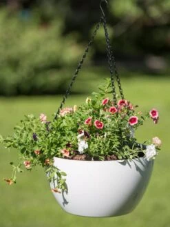 Viva Self-Watering Hanging Basket, 14" Diameter -Default Template 3 8596442 0864 tif