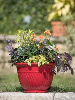 Mazzano Self-Watering Planters -Default Template 3 8596564 4883 tif