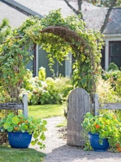 New Arrival -Default Template 3 8596570 10231 tif