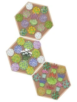 Pollinator Garden Bed -Default Template 3 8597000 Hummingbird Plan tif