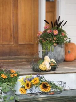 Galvanized Rim Planters -Default Template 3 8597379 1625 tif