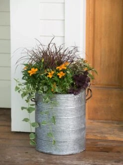 Galvanized Rim Planters -Default Template 3 8597443 1708 tif