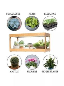 Low Bamboo LED Grow Light Garden 17 Low Bamboo LED Grow Light Garden -Default Template 3 8597720 3