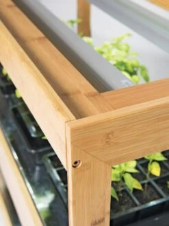 Bamboo Display LED Grow Light Garden -Default Template 3 8597720 7795 tif 1