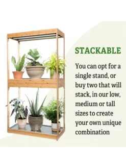 Medium Bamboo LED Grow Light Garden -Default Template 3 8597883 6