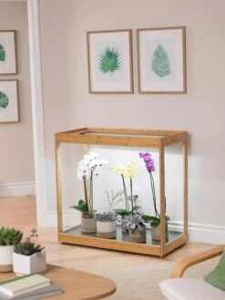 Medium Bamboo LED Grow Light Garden -Default Template 3 8597883 9276 tif