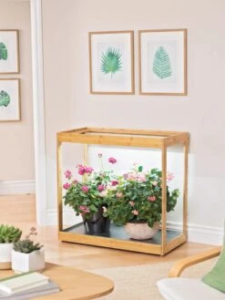 Medium Bamboo LED Grow Light Garden -Default Template 3 8597883 9279 tif