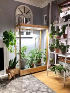 Tall Bamboo LED Grow Light Garden -Default Template 3 8597884 01IN tif