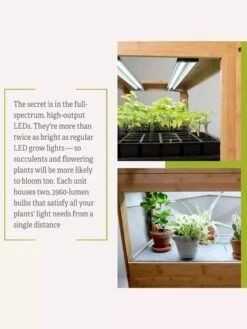 Bamboo LED Grow Light Garden For Succulents And Seeds 20 Bamboo LED Grow Light Garden For Succulents And Seeds -Default Template 3 8598084 7