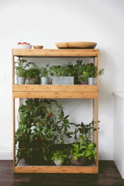 Bamboo Home LED Grow Light Garden -Default Template 3 8598088 BambooLEDHomeGarden light gif