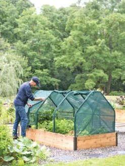 3-Season Plant Protection Tent, 4' X 8' -Default Template 3 8598282 0101 tif