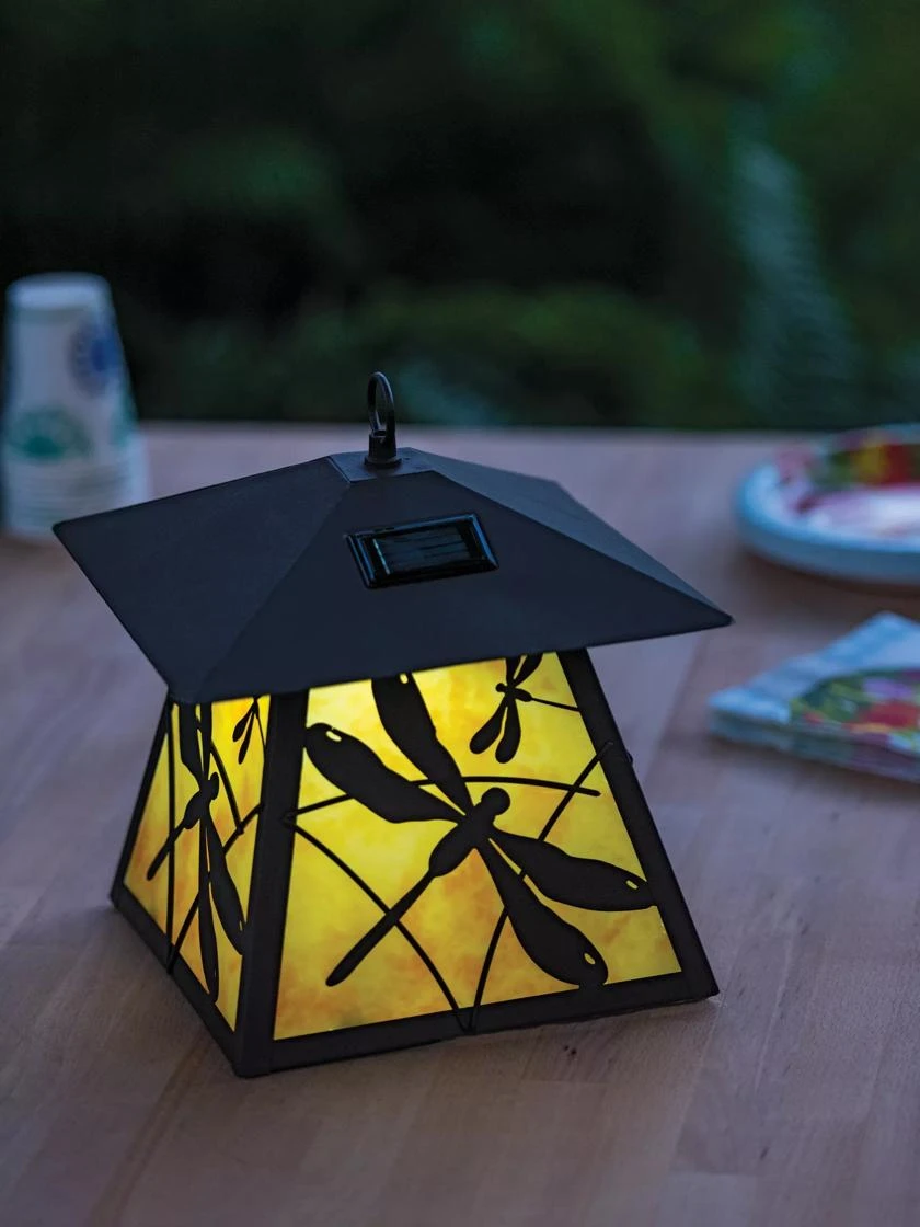 Dragonfly Solar Lantern 1 Dragonfly Solar Lantern