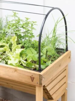 VegTrug® Mini Wallhugger Planter With Cover -Default Template 3 8598339 4004 tif