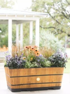 VegTrug™ Trough Planters -Default Template 3 8598402 8880 tif