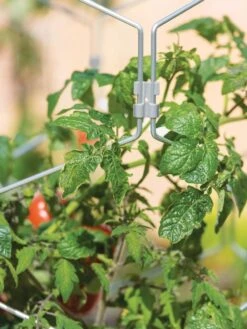 Gardener's Vertex Lifetime Tomato Cage -Default Template 3 8598426 0011 tif