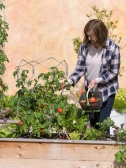 Gardener's Vertex Lifetime Tomato Cage -Default Template 3 8598426 0026 tif