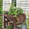 Compact VegTrug® Patio Garden