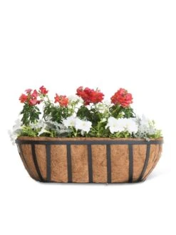 AquaSave™ Oxford Window And Deck Planters 7 AquaSave™ Oxford Window And Deck Planters -Default Template 3 8598626 8809 tif