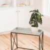 Plant Stand With Galvanized Tray