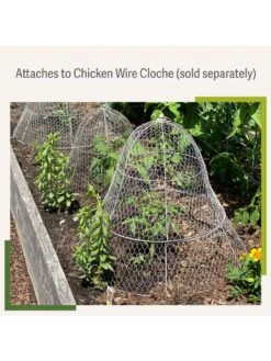 Chicken Wire Cloche Extension 11 Chicken Wire Cloche Extension -Default Template 3 8599107 2