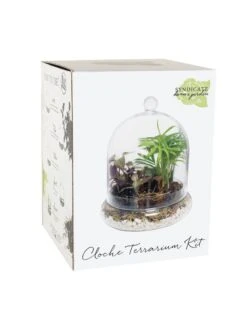 Cloche Terrarium Kit Medium 6 Cloche Terrarium Kit Medium -Default Template 3 8599148 01v