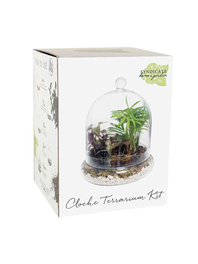 Cloche Terrarium Kit Medium 3 Cloche Terrarium Kit Medium - Image 3