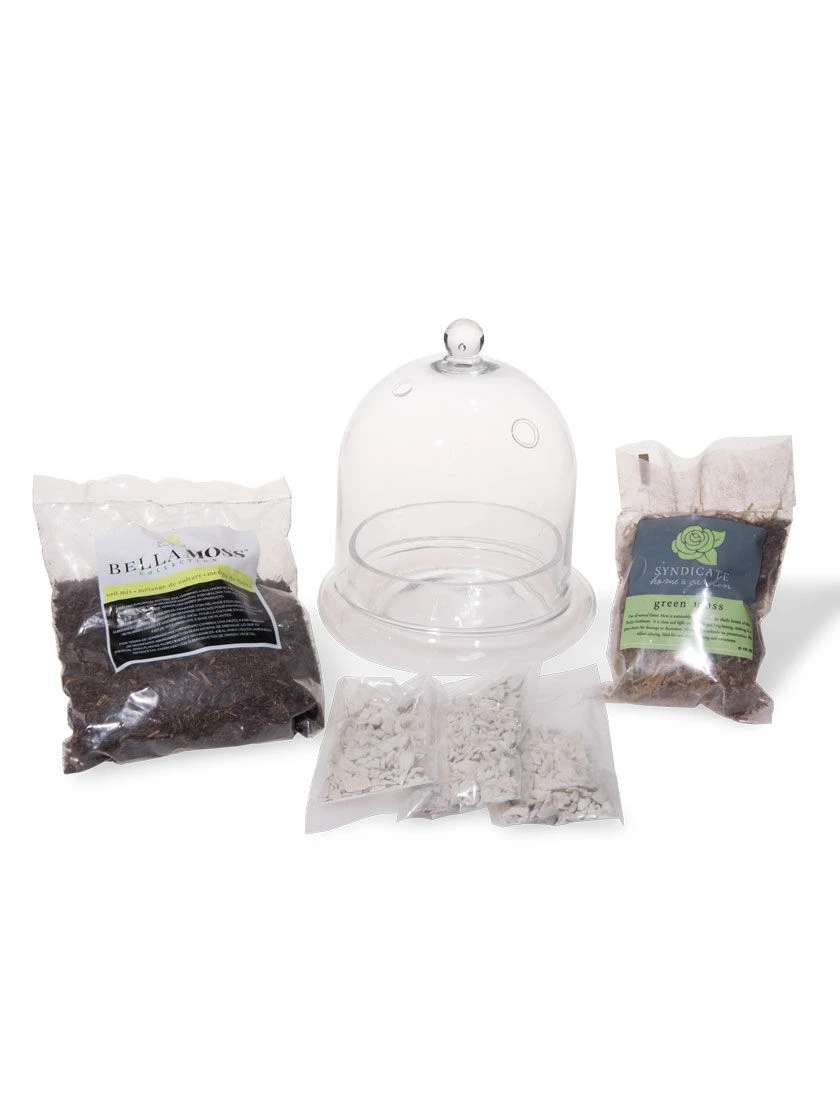 Cloche Terrarium Kit Medium 1 Cloche Terrarium Kit Medium