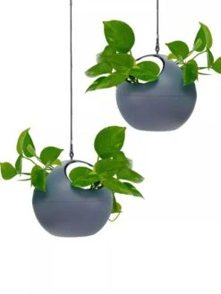 Exaco Euro Hanging Planters, Set Of 2 -Default Template 3 8599179 04V tif