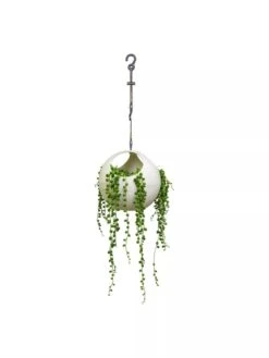 Exaco Euro Hanging Planters, Set Of 2 -Default Template 3 8599179 06V tif