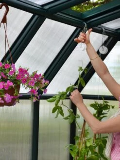 Canopia® By Palram Hobby Gardener Greenhouse, 8' 21 Canopia® By Palram Hobby Gardener Greenhouse, 8' -Default Template 3 8599331 04V tif