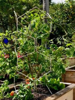 Gardener's Vertex Lifetime Pepper And Eggplant Cage -Default Template 3 8599554 01CUST tif