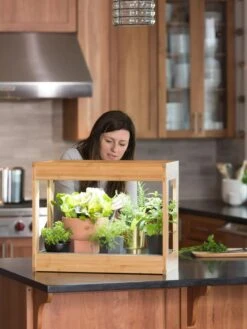 Bamboo Mini LED Grow Light Garden -Default Template 3 8599624 12532 tif