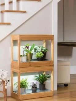 Bamboo Mini LED Grow Light Garden -Default Template 3 8599624 12746 tif