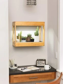 Bamboo Mini LED Grow Light Garden -Default Template 3 8599624 12872 tif