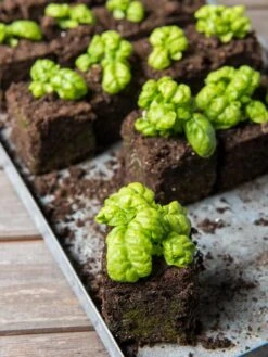 Soil Blocker, 4 Cell 9 Soil Blocker, 4 Cell -Default Template 3 8599790 1057 tif