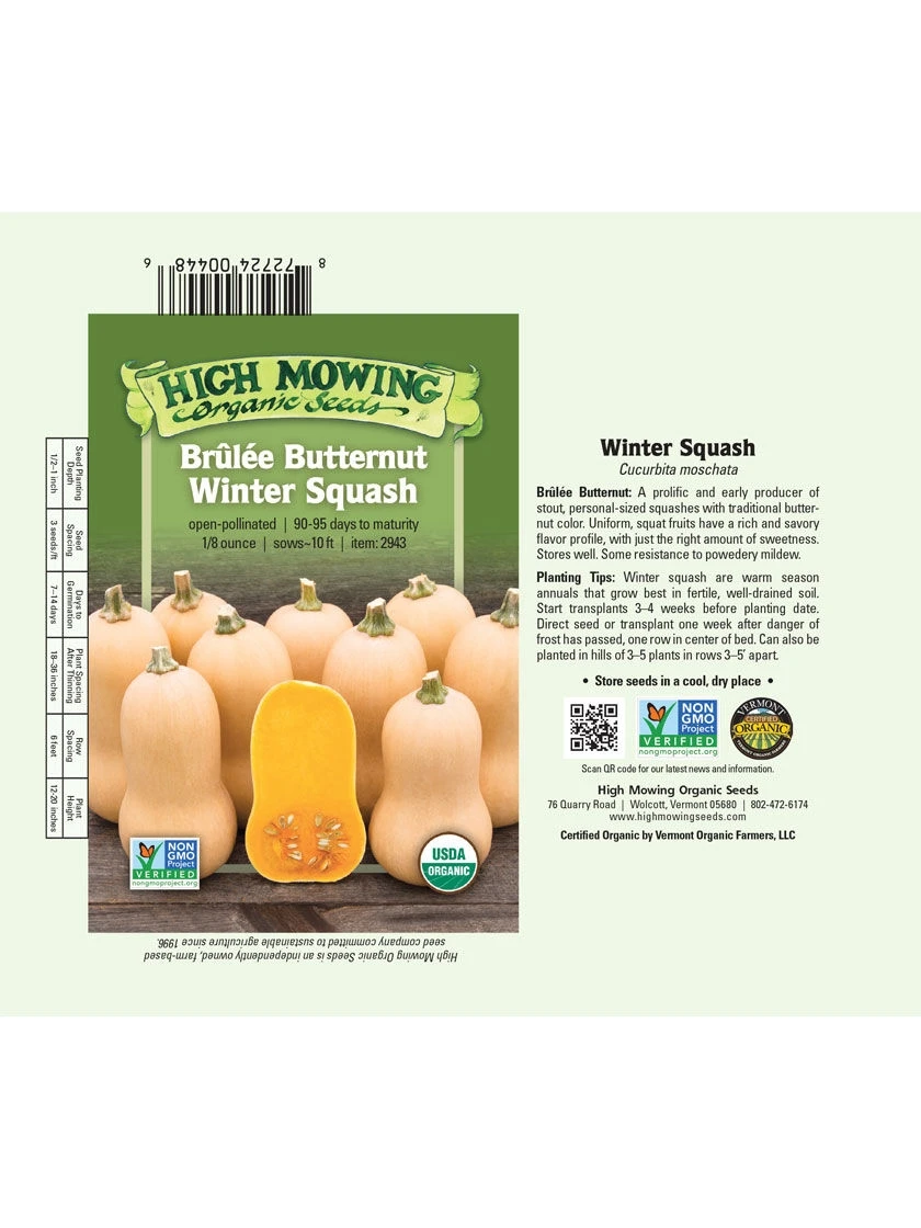 Brulee Butternut Squash Organic Seeds 2 Brulee Butternut Squash Organic Seeds - Image 2
