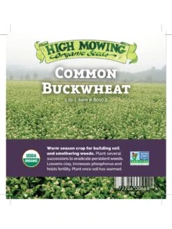 Common Buckwheat Organic Seeds -Default Template 3 8599871 04v