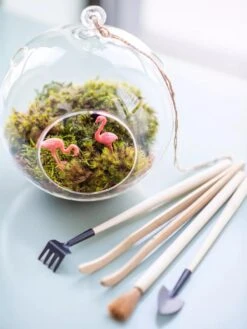 Terrarium Tools, Set Of 4 -Default Template 3 8599884 01V tif